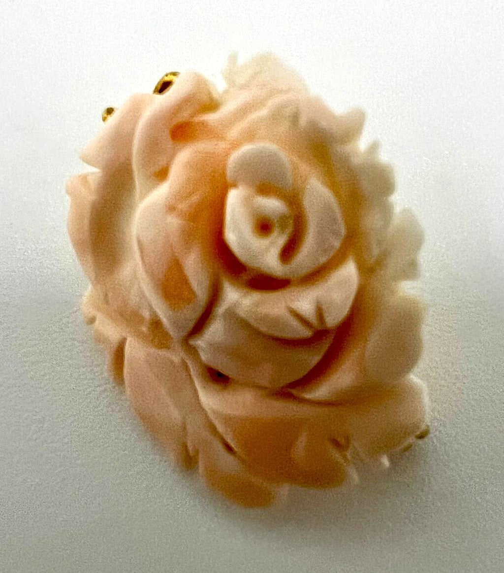 Brosche geschnitzte Korallenrose