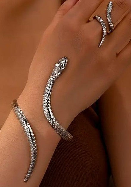 Elegante Schlangen Schmuck Set in Silber Armreif & Ring